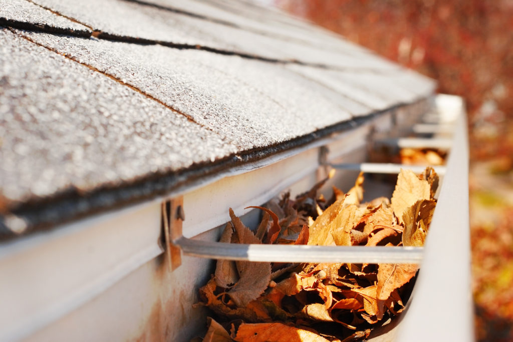 Gutter Cleaning Orlando FL